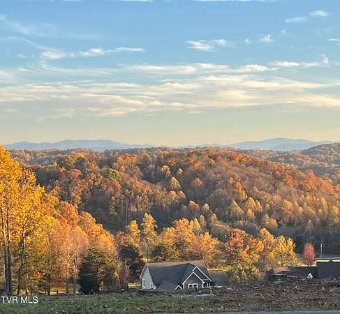 0.88 Acres of Residential Land for Sale in Kingsport, Tennessee