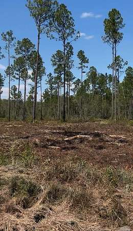 14.5 Acres of Recreational & Residential Land for Sale in Lakeland, Georgia
