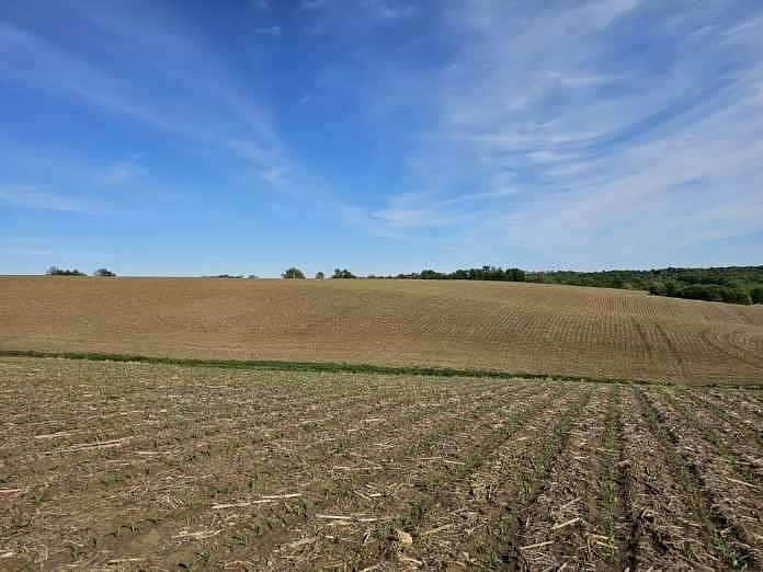 107 Acres of Recreational Land & Farm for Sale in Argyle, Wisconsin