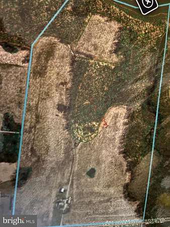 80 Acres of Agricultural Land for Sale in Townsend, Delaware