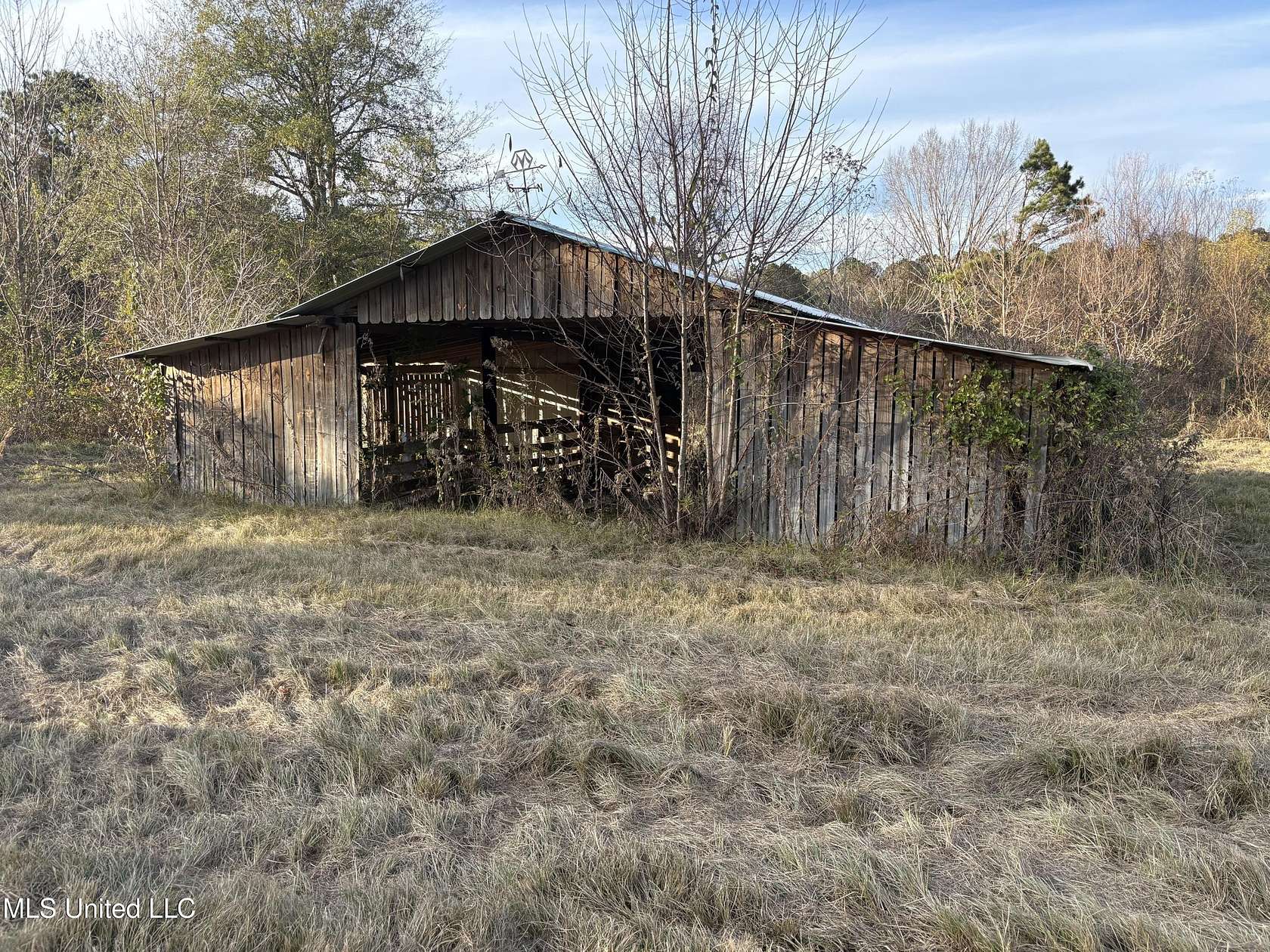 15.6 Acres of Agricultural Land for Sale in Canton, Mississippi