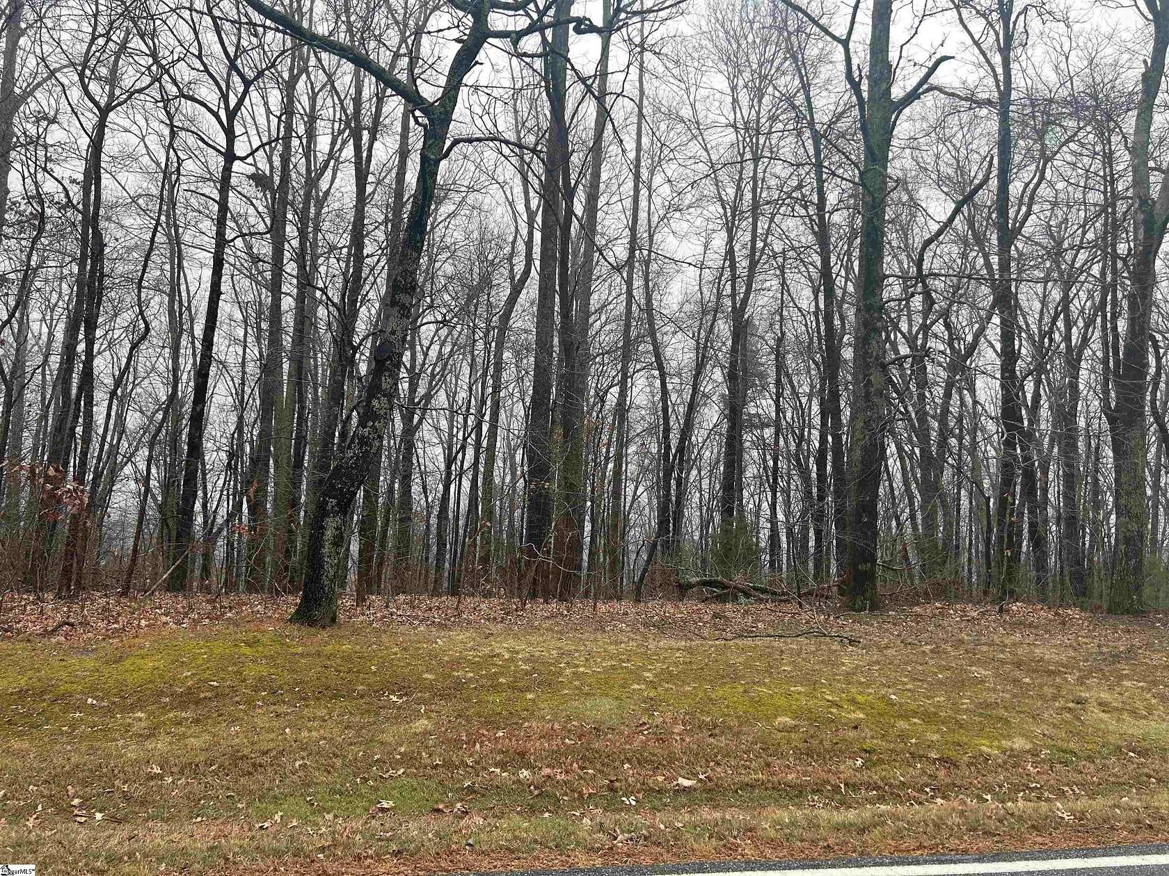 3.4 Acres of Residential Land for Sale in Landrum, South Carolina