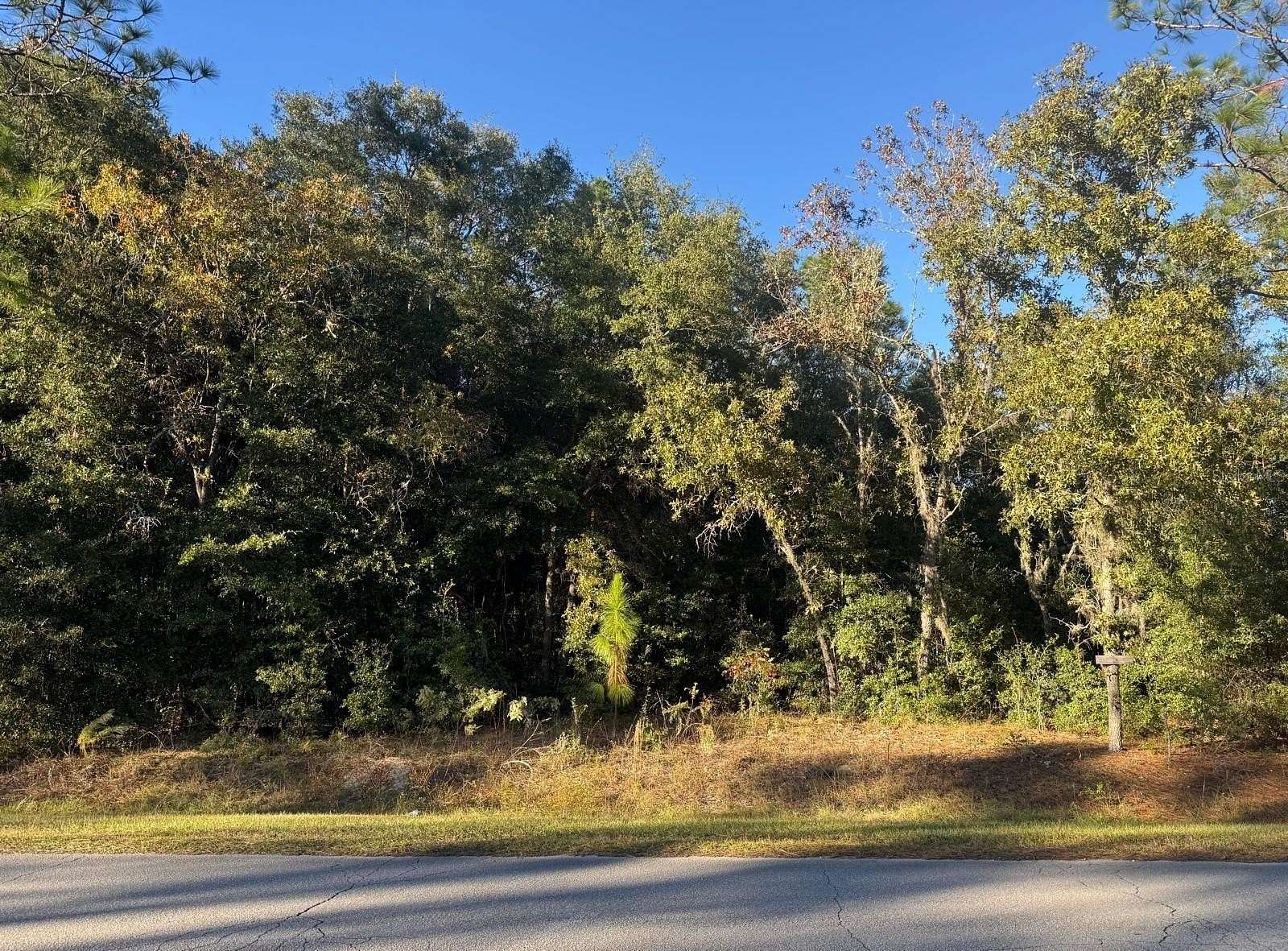 1 Acre of Residential Land for Sale in Ocala, Florida