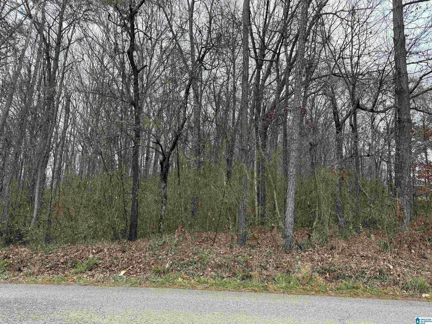 1.18 Acres of Land for Sale in Eastaboga, Alabama