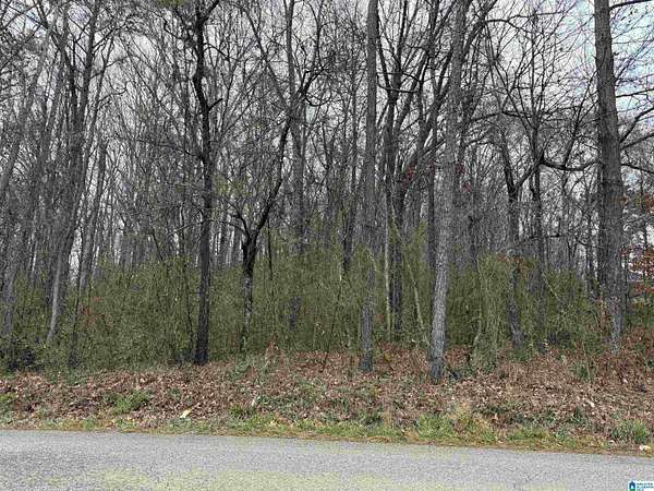 1.18 Acres of Land for Sale in Eastaboga, Alabama