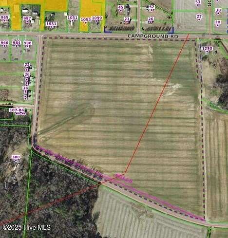 43.2 Acres of Recreational Land for Sale in Selma, North Carolina