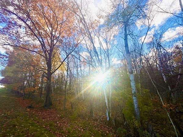 19 Acres of Land for Sale in Clear Lake, Wisconsin