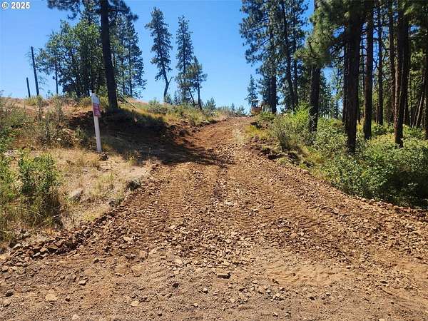 119 Acres of Land for Sale in Goldendale, Washington