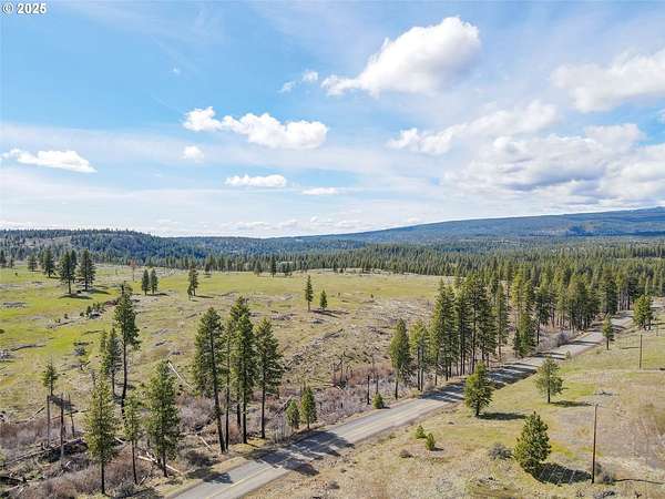 85.2 Acres of Land for Sale in Goldendale, Washington
