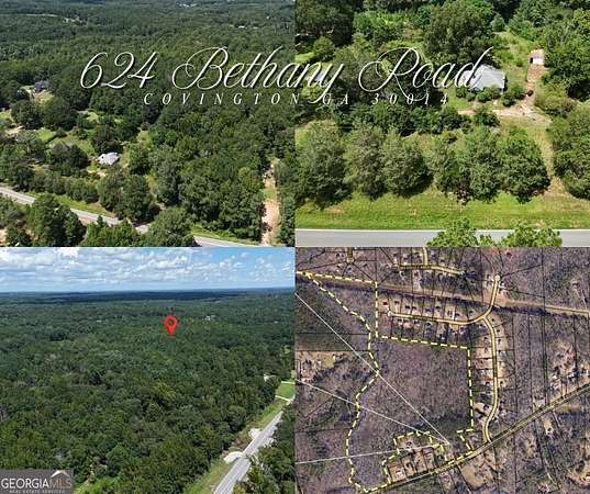 53.6 Acres of Recreational Land for Sale in Covington, Georgia