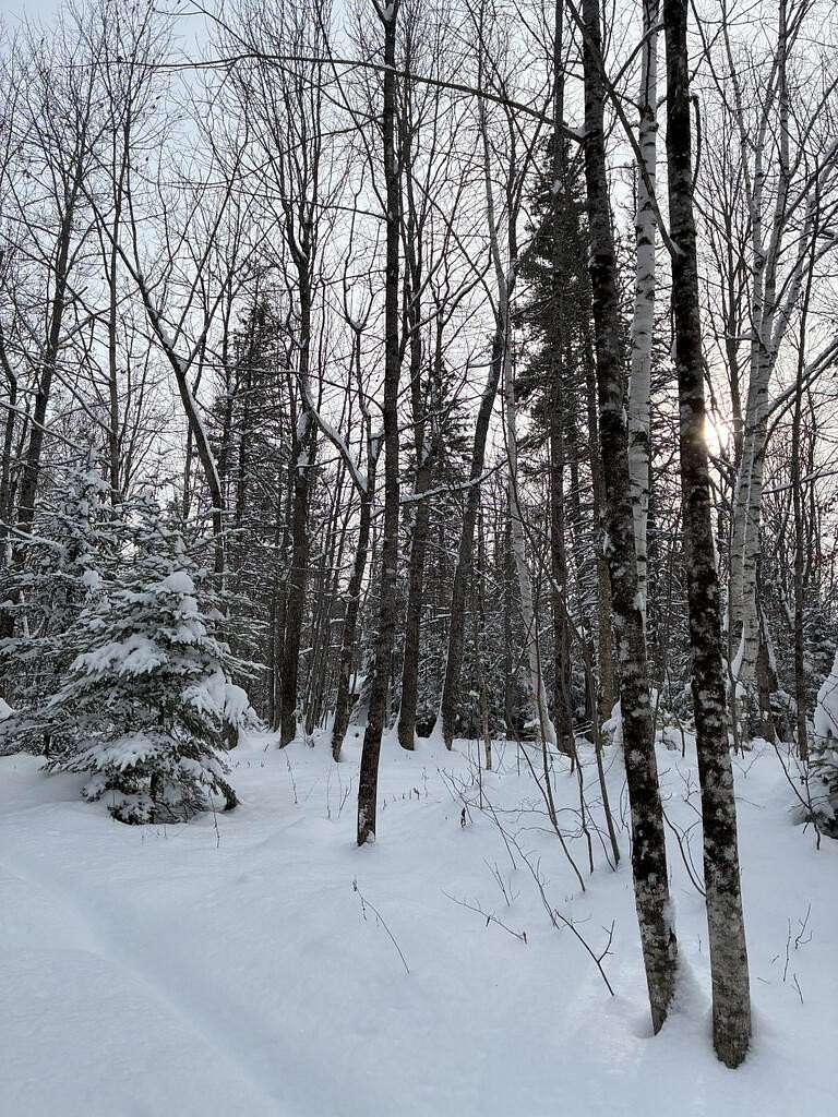1.15 Acres of Land for Sale in Strong, Maine