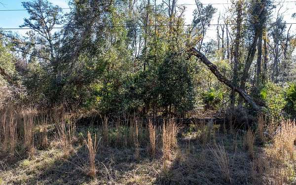 4 Acres of Residential Land for Sale in Live Oak, Florida