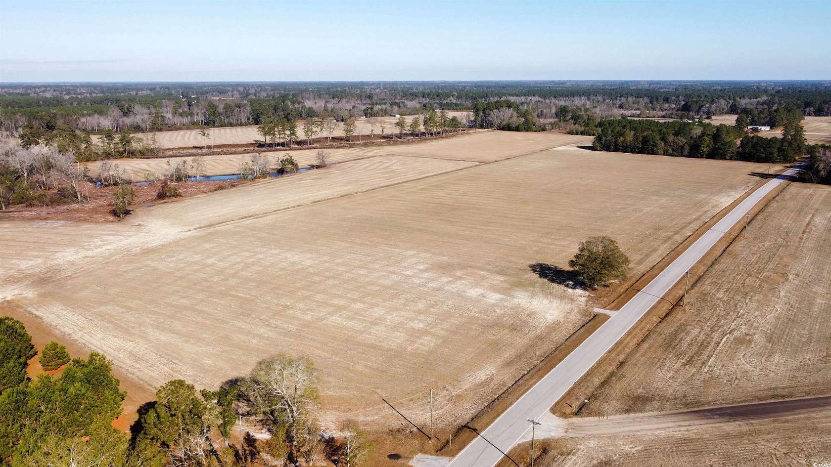 69 Acres of Land for Sale in Nichols, South Carolina