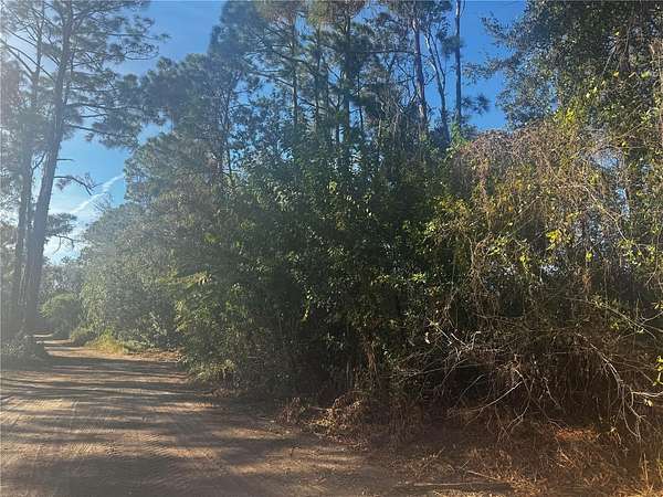 0.13 Acres of Residential Land for Sale in Tampa, Florida