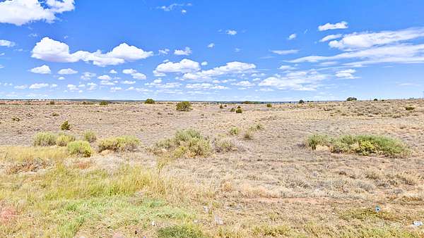 1.15 Acres of Residential Land for Sale in Sanders, Arizona