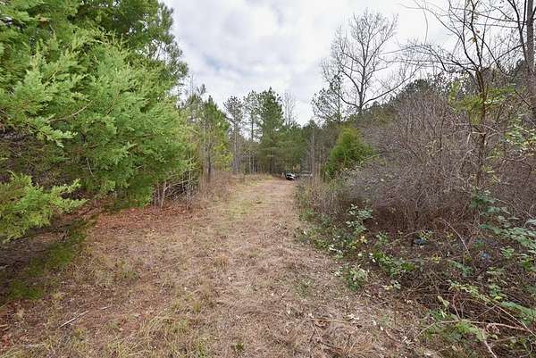2 Acres of Residential Land for Sale in Waterloo, South Carolina