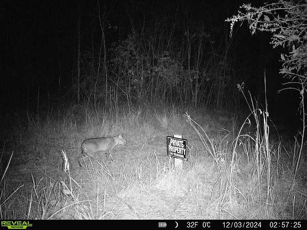 41.4 Acres of Recreational Land for Sale in Moss Point, Mississippi