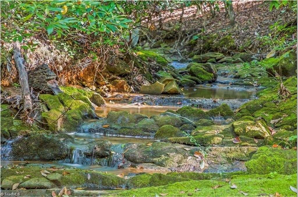 16.6 Acres of Recreational Land for Sale in Westfield, North Carolina