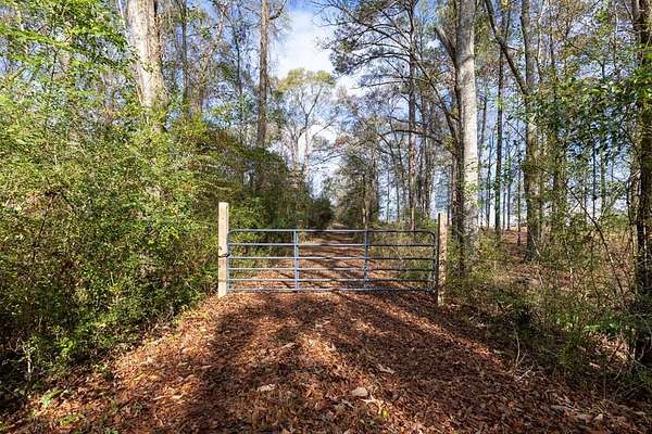 50 Acres of Recreational Land for Sale in Cataula, Georgia