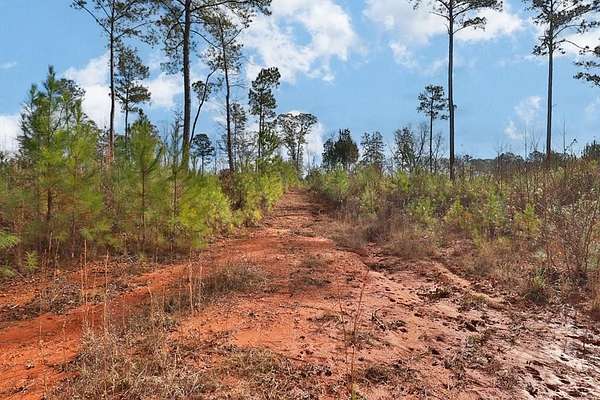 50 Acres of Recreational Land for Sale in Cataula, Georgia