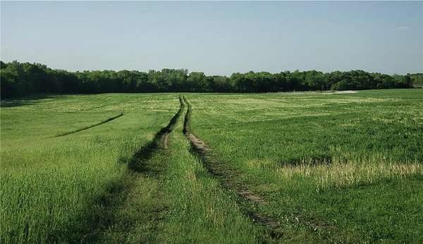 10 Acres of Agricultural Land for Sale in Corcoran, Minnesota