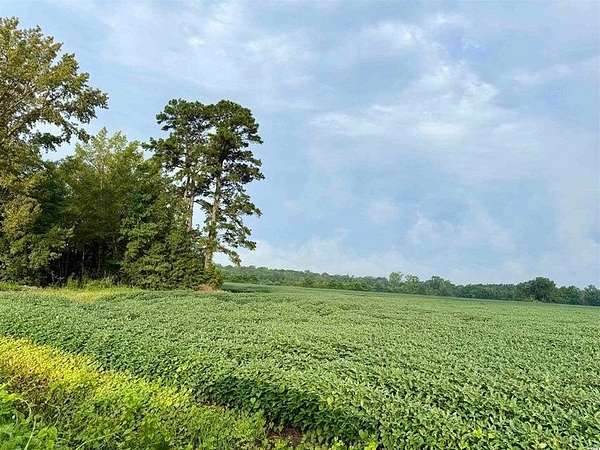 80 Acres of Land for Sale in Olanta, South Carolina