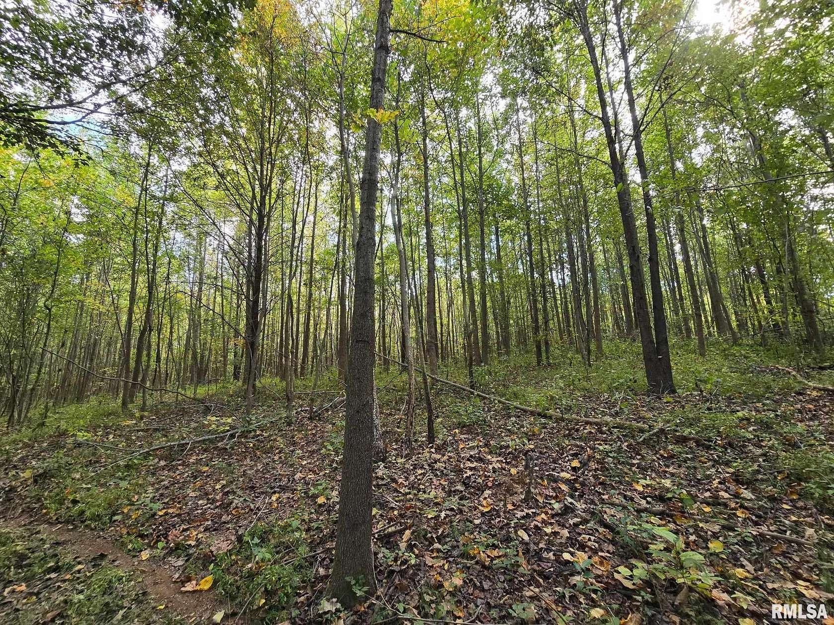 10.6 Acres of Recreational Land for Sale in Metropolis, Illinois