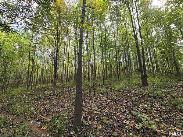 10.6 Acres of Recreational Land for Sale in Metropolis, Illinois