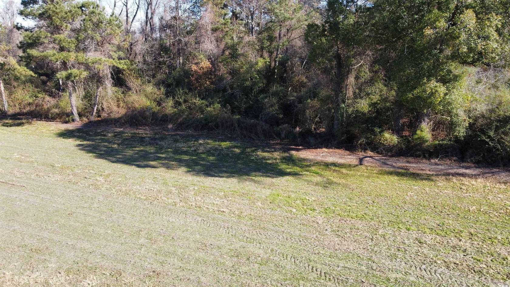 20.9 Acres of Land for Sale in Nichols, South Carolina