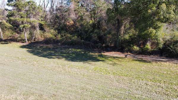 20.9 Acres of Land for Sale in Nichols, South Carolina