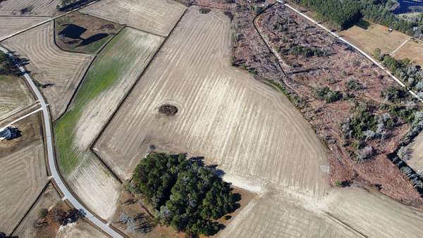 35.7 Acres of Land for Sale in Nichols, South Carolina