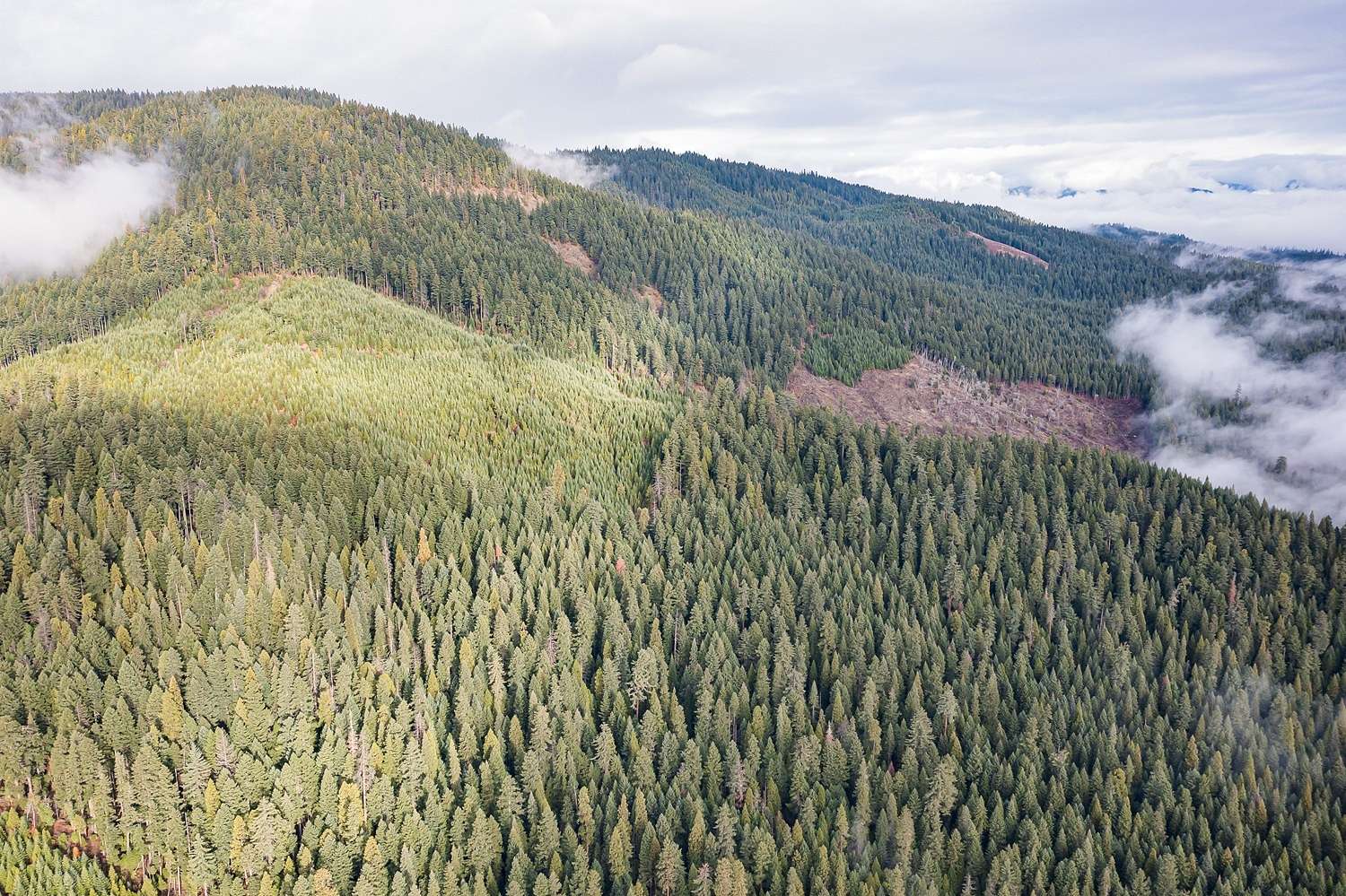 103 Acres of Recreational Land for Sale in Prospect, Oregon