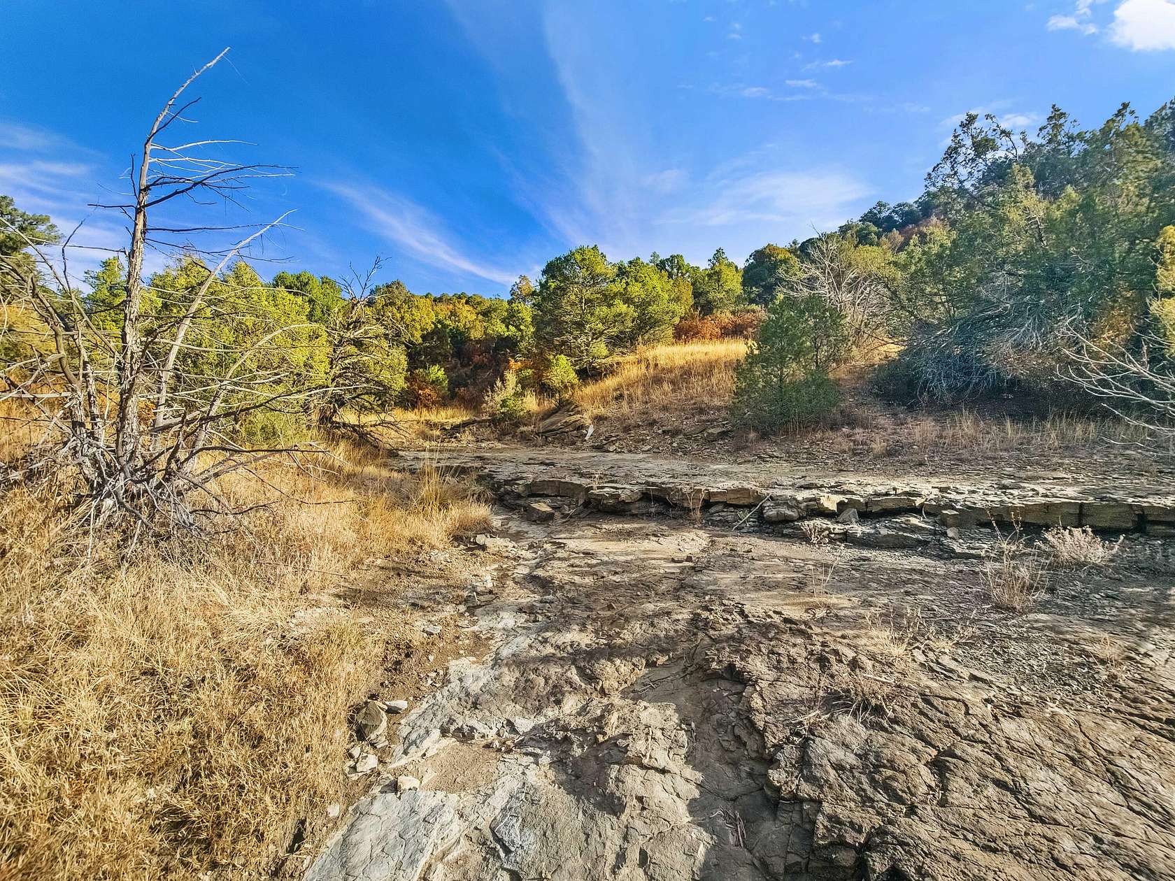 37 Acres of Land for Sale in Trinidad, Colorado