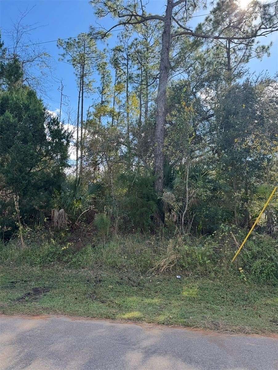 0.23 Acres of Residential Land for Sale in Palm Coast, Florida