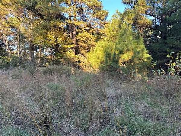 2.5 Acres of Residential Land for Sale in Antlers, Oklahoma
