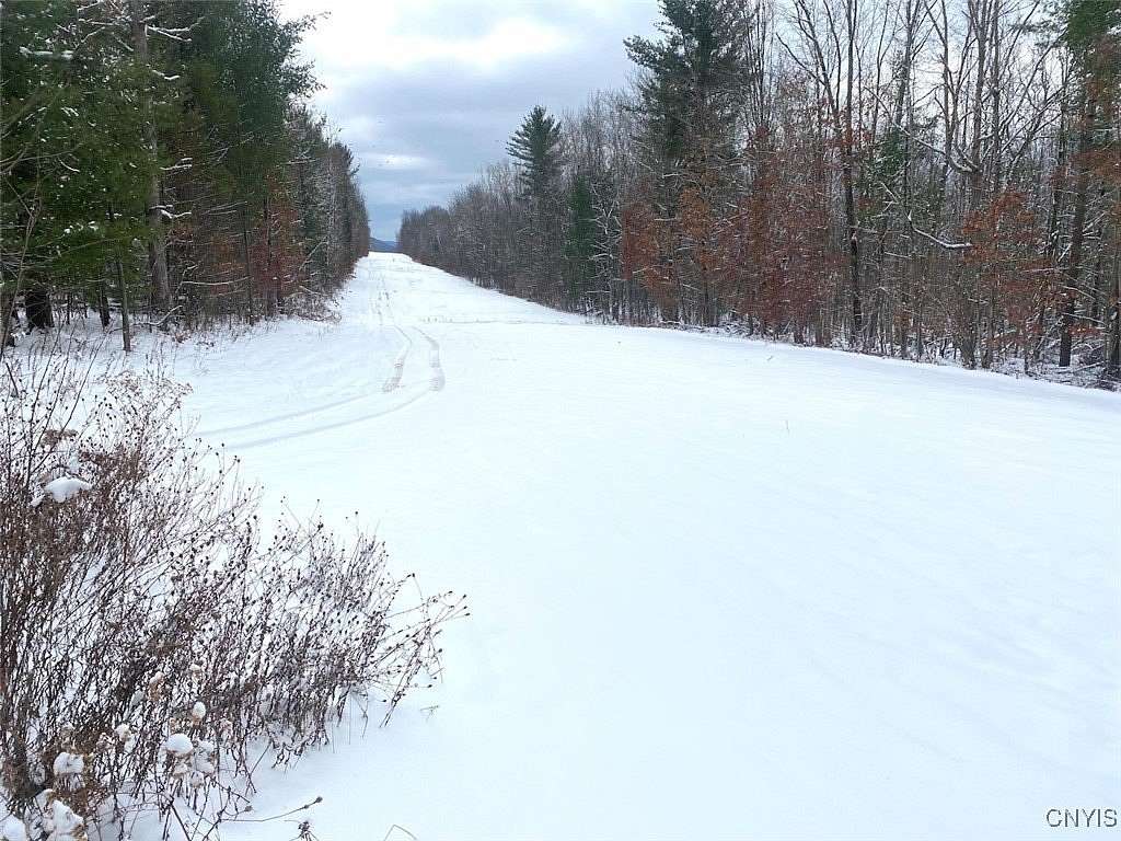 60 Acres of Recreational Land for Sale in Belmont, New York