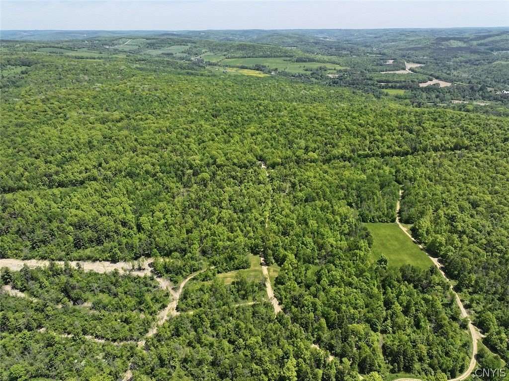 60 Acres of Recreational Land for Sale in Belmont, New York