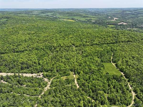 60 Acres of Recreational Land for Sale in Belmont, New York