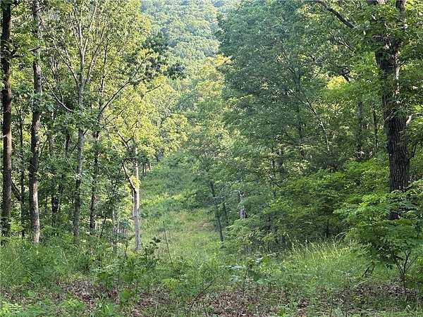 56.6 Acres of Land for Sale in Elkins, Arkansas