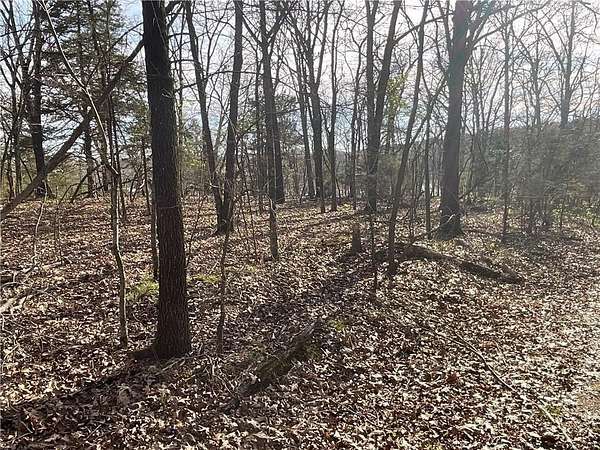 5 Acres of Residential Land for Sale in Hindsville, Arkansas