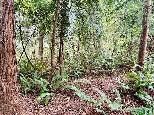 1.84 Acres of Residential Land for Sale in Arcata, California