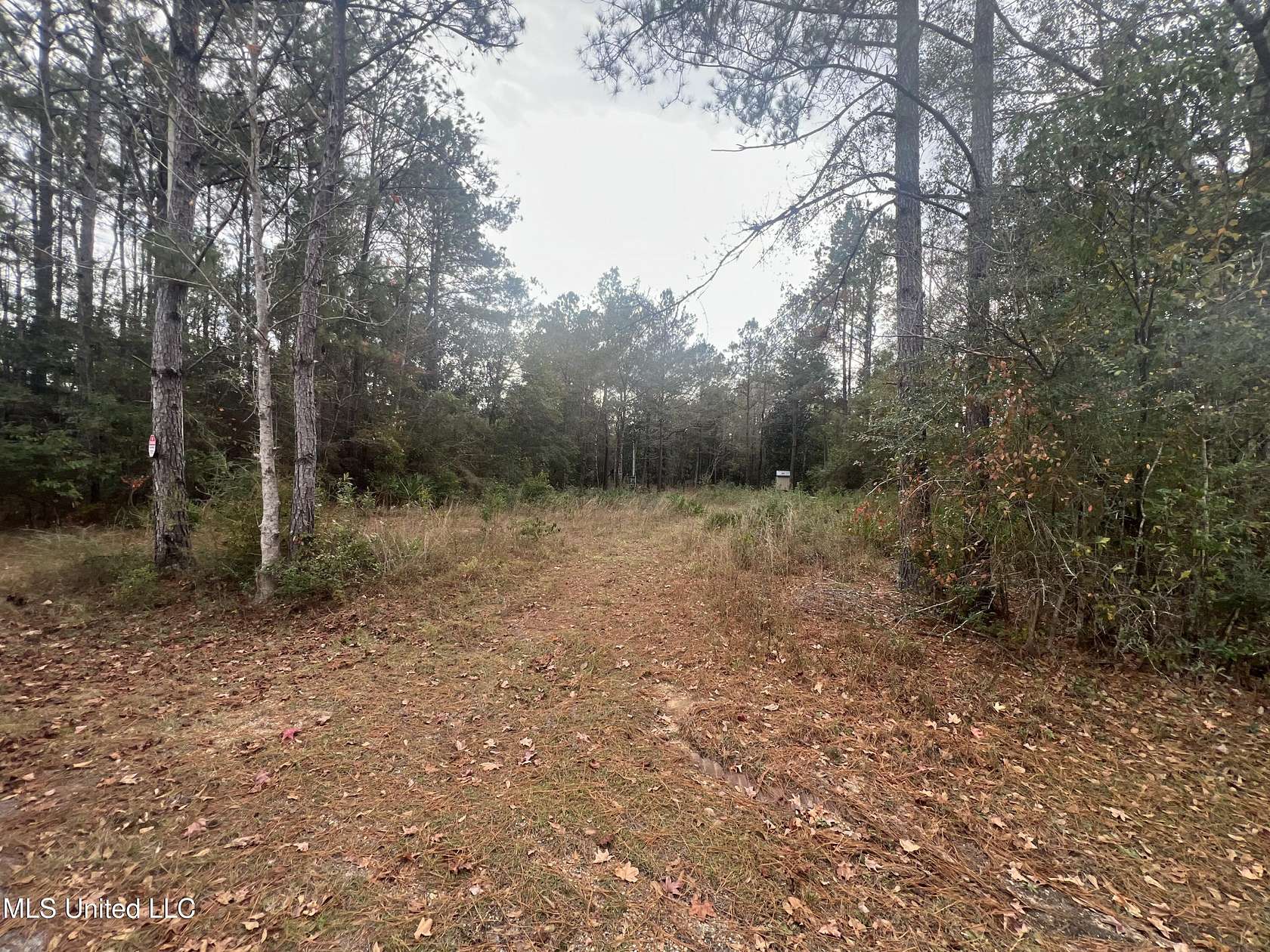 1.25 Acres of Residential Land for Sale in Biloxi, Mississippi