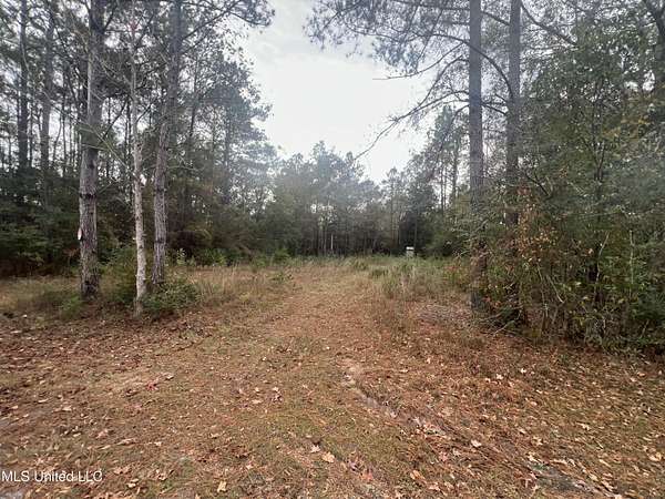 1.25 Acres of Residential Land for Sale in Biloxi, Mississippi
