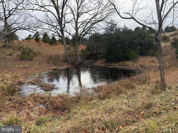 20 Acres of Agricultural Land for Sale in Slanesville, West Virginia