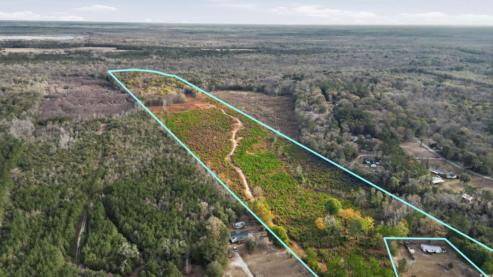 77 Acres of Agricultural Land for Sale in Pamplico, South Carolina