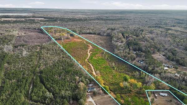 86 Acres of Agricultural & Residential Land for Sale in Pamplico, South Carolina