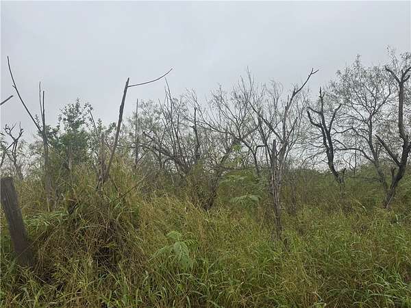 2 Acres of Residential Land for Sale in Mathis, Texas