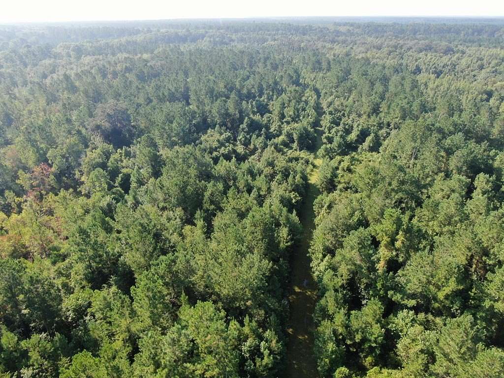 228 Acres of Recreational Land for Sale in Brunswick, Georgia