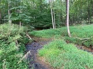 2.22 Acres of Residential Land for Sale in Ellijay, Georgia