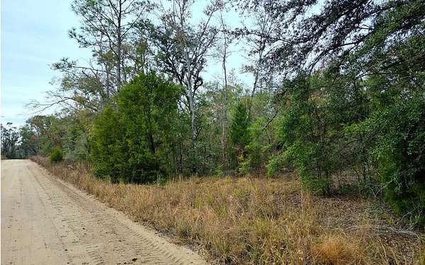 0.23 Acres of Residential Land for Sale in Live Oak, Florida